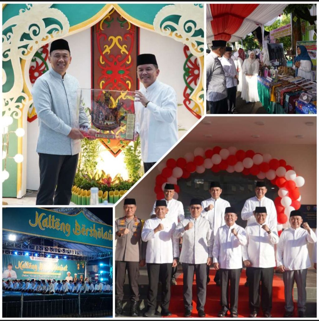 Compress_20250318_010512_2694