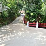 Compress_20251112_205927_7299