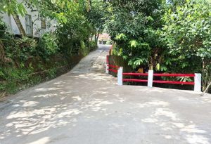 Compress_20251112_205927_7299