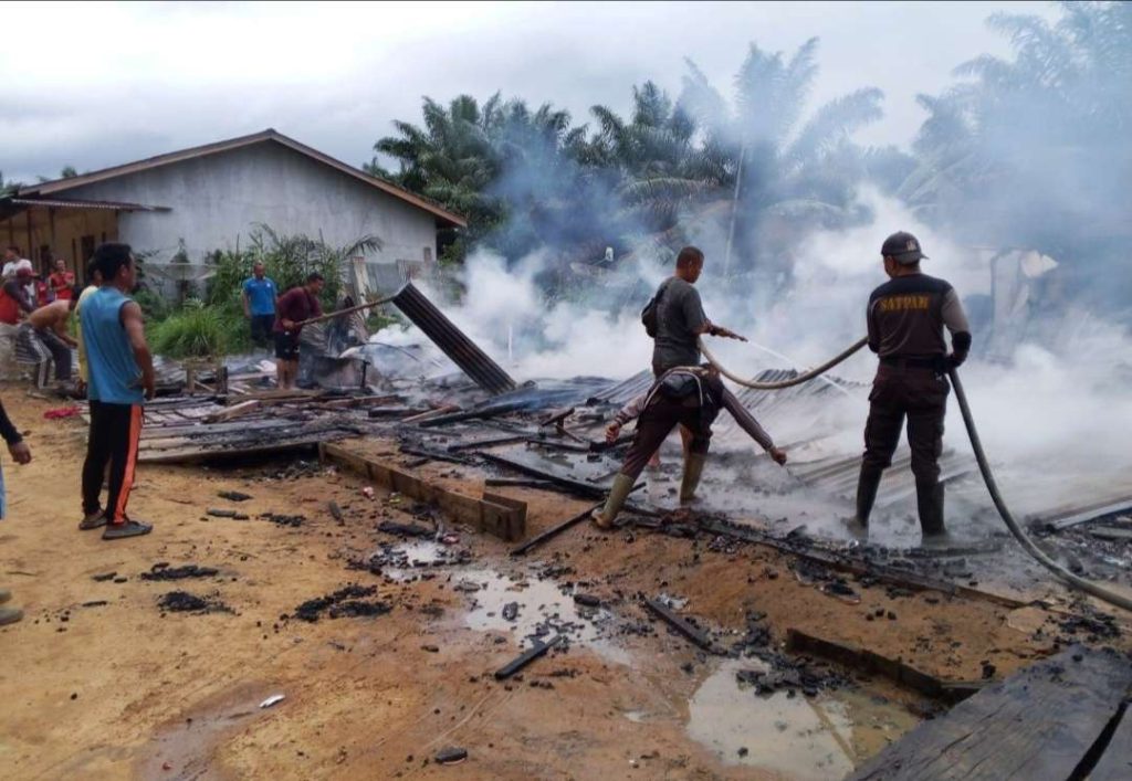 Compress_20251208_203345_5728