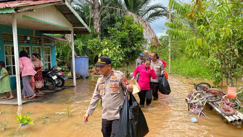 Compress_20251211_204751_1479