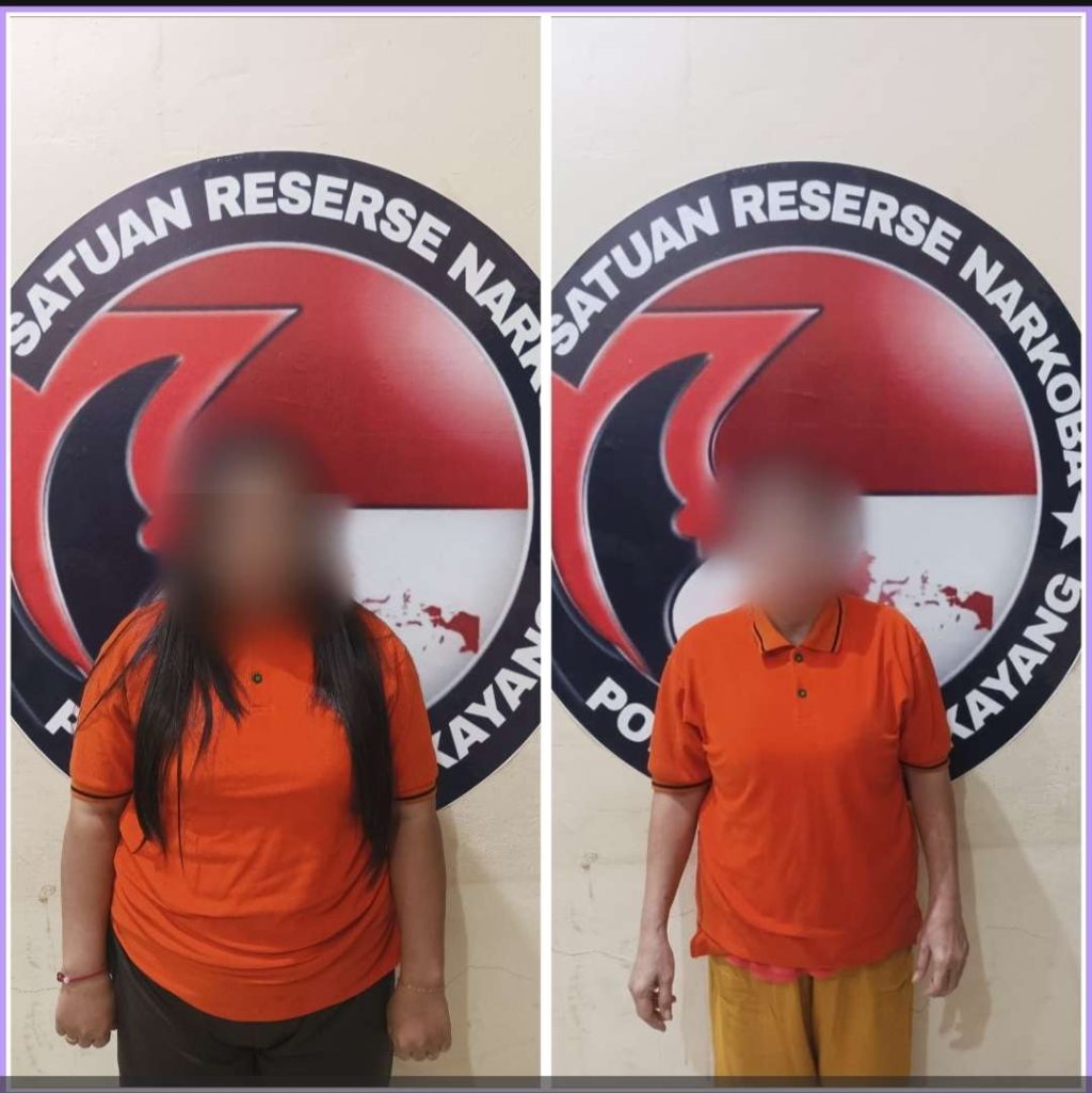 Compress_20251213_204848_8429