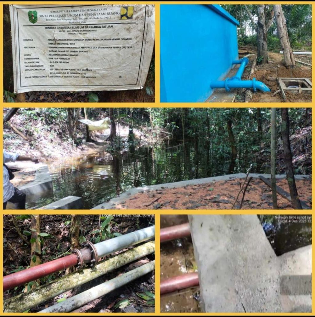 Compress_20251218_165418_8318