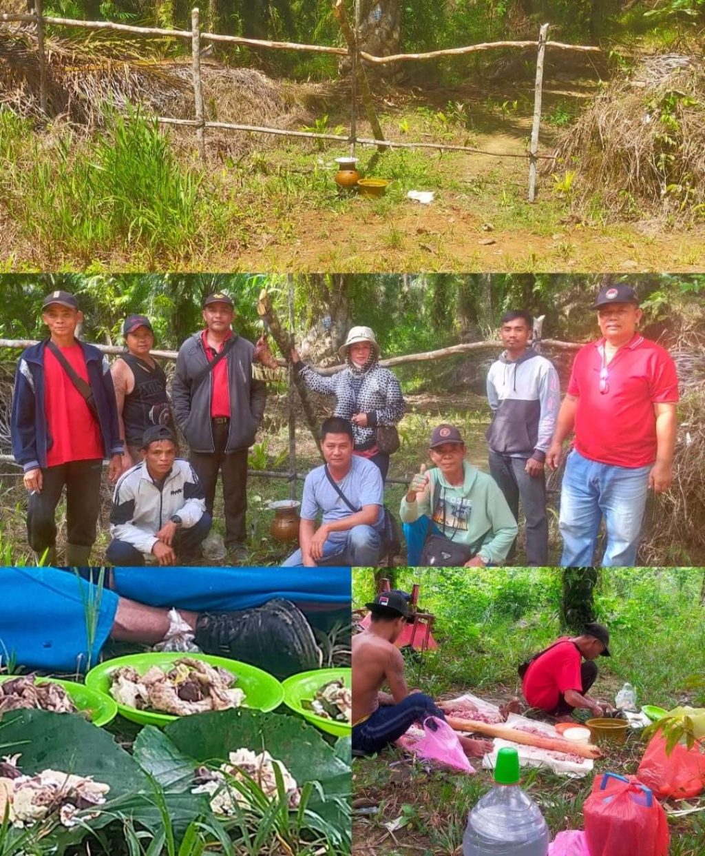 Compress_20251221_010320_0666