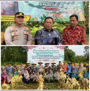 Compress_20260108_171720_0747