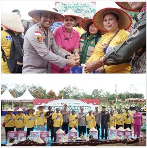 Compress_20260108_180511_1659