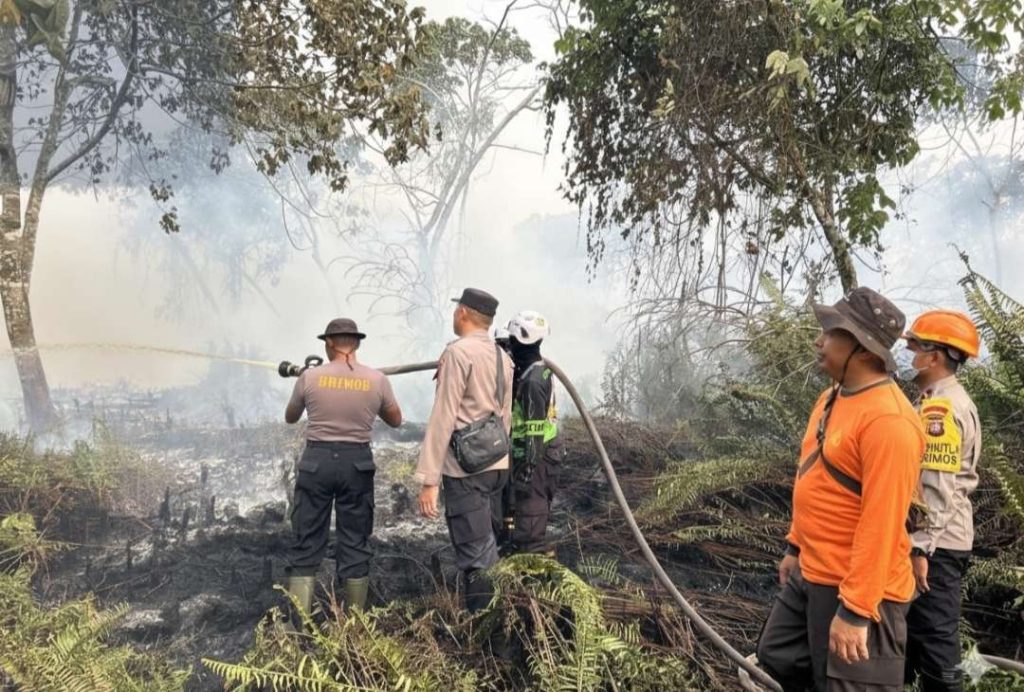 Compress_20260122_173412_2740