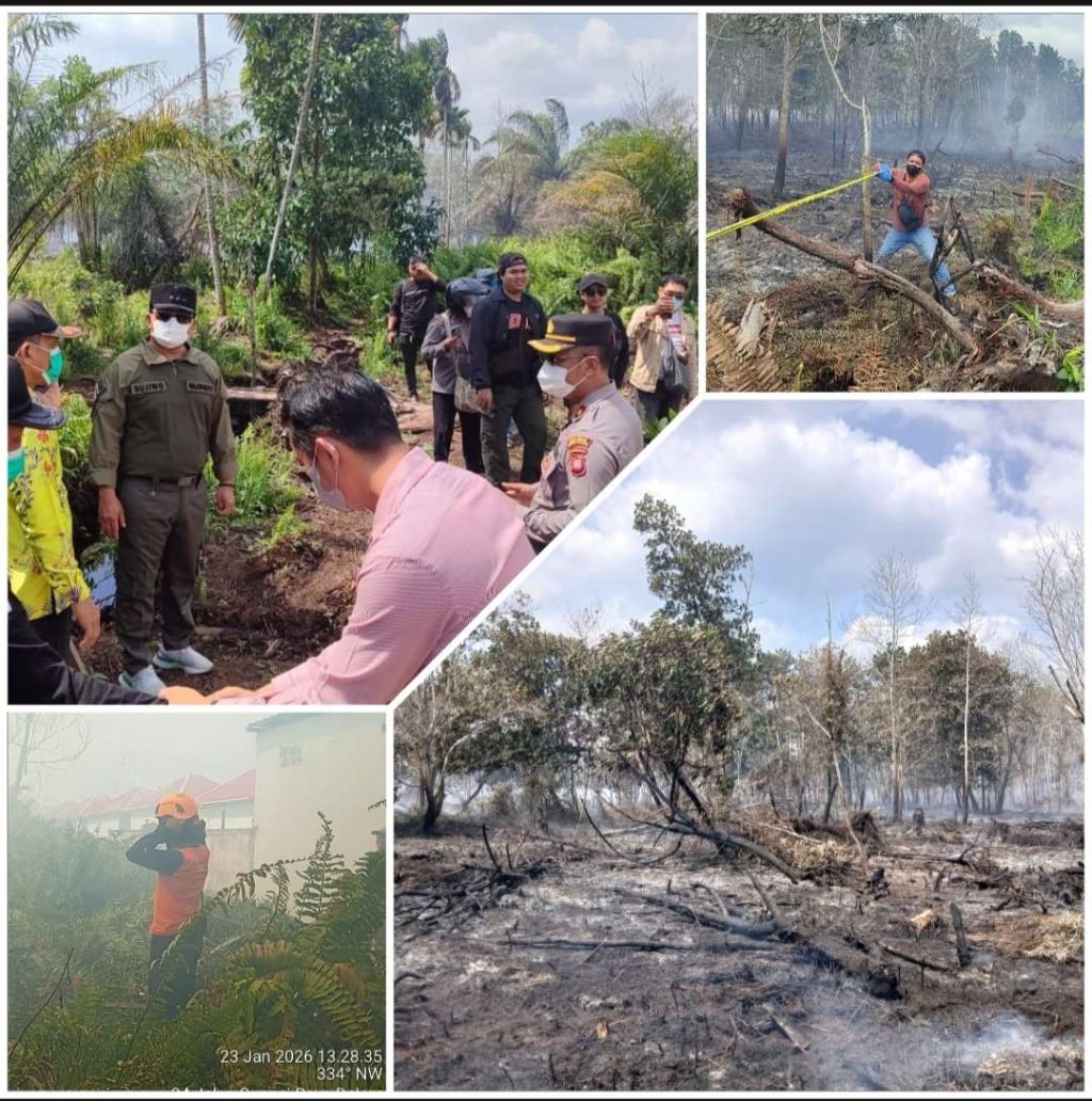 Compress_20260123_143832_2600