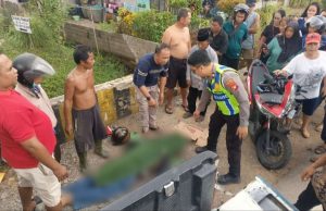 Compress_20260126_180252_2302