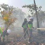 Compress_20260131_192511_1552