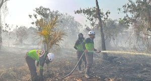 Compress_20260131_192511_1552