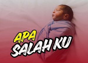 Compress_20260203_171736_6780