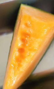 Compress_20260212_005120_0241