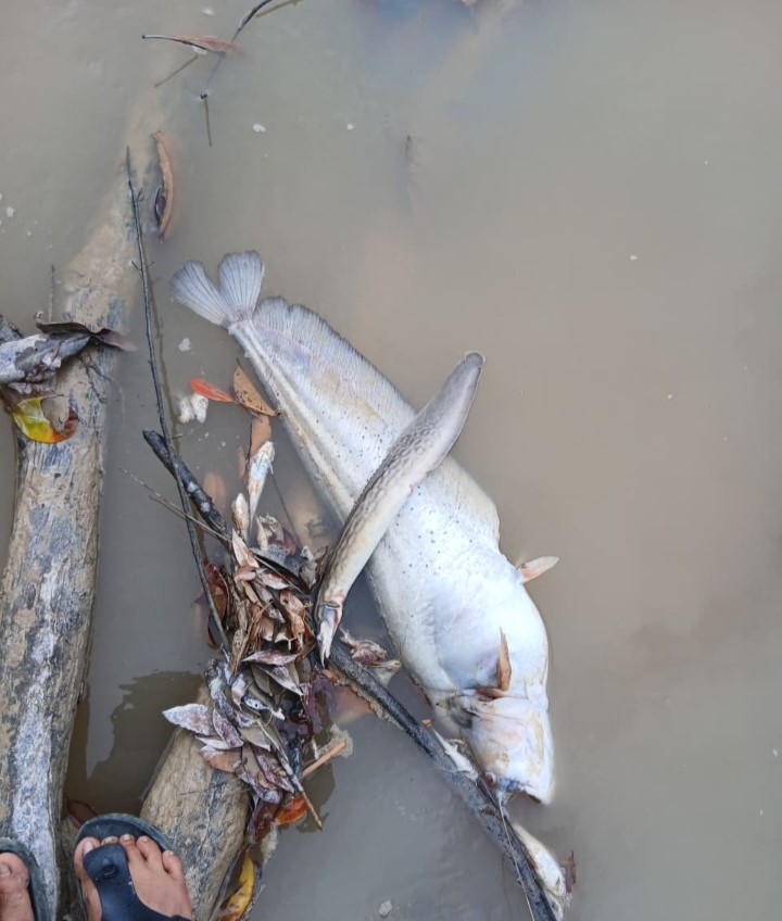 IMG-20260405-WA0006