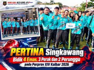 Compress_20261030_171026_6533